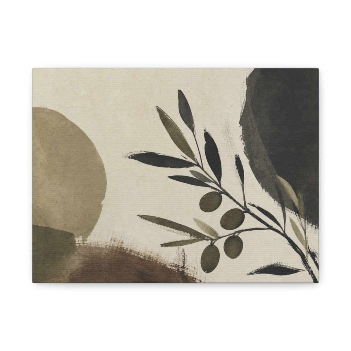 Olive Study Gallery Canvas